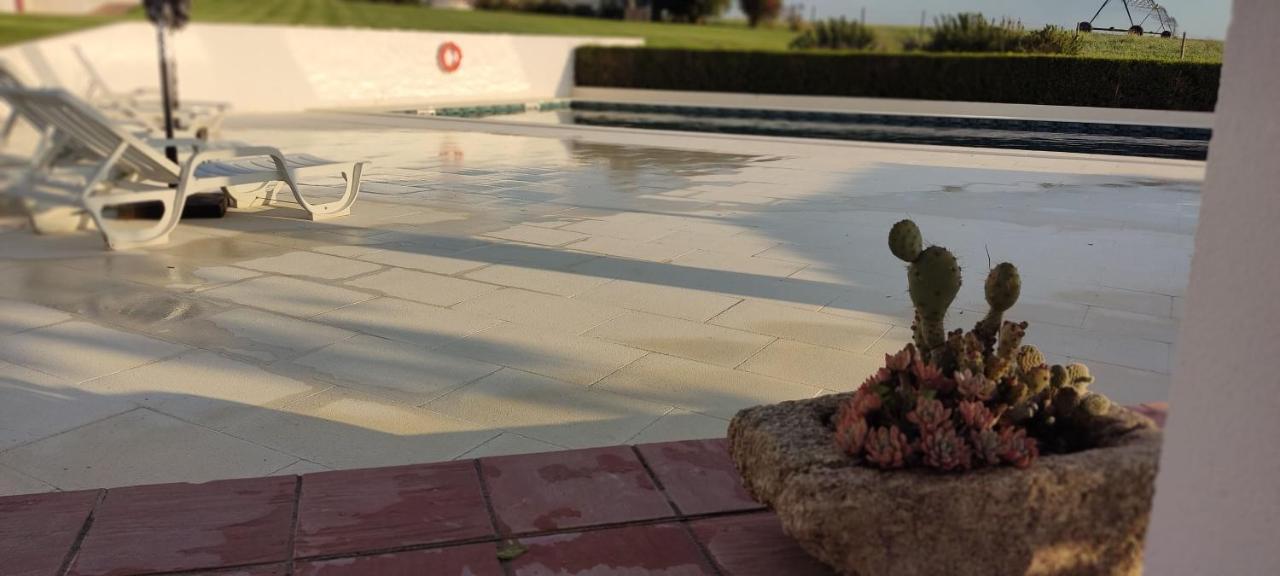 Monte Da Morena Agro-Turismo Serpa Bagian luar foto
