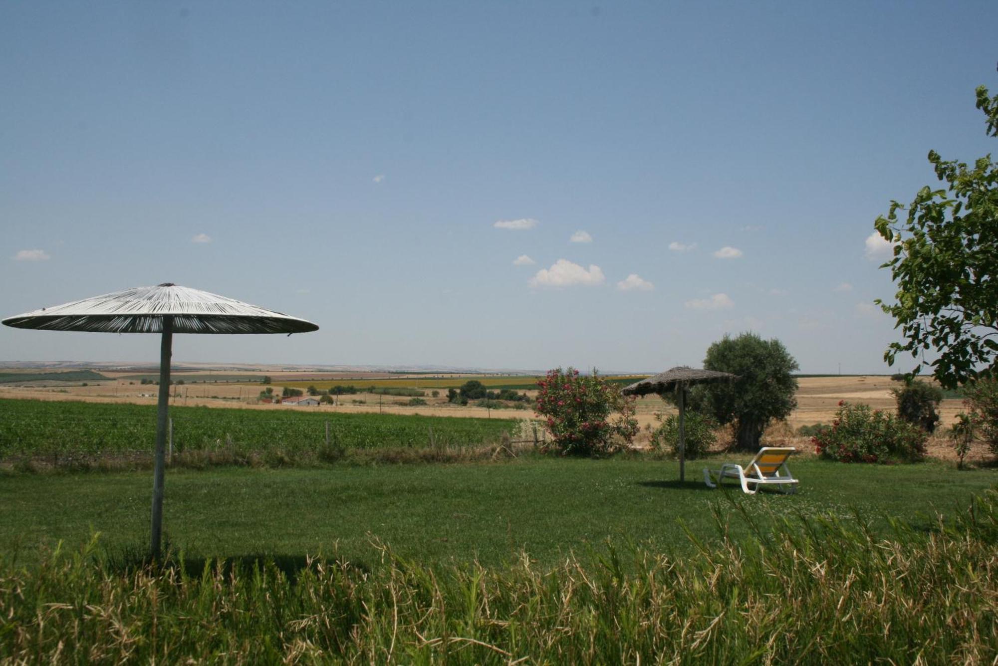 Monte Da Morena Agro-Turismo Serpa Bagian luar foto