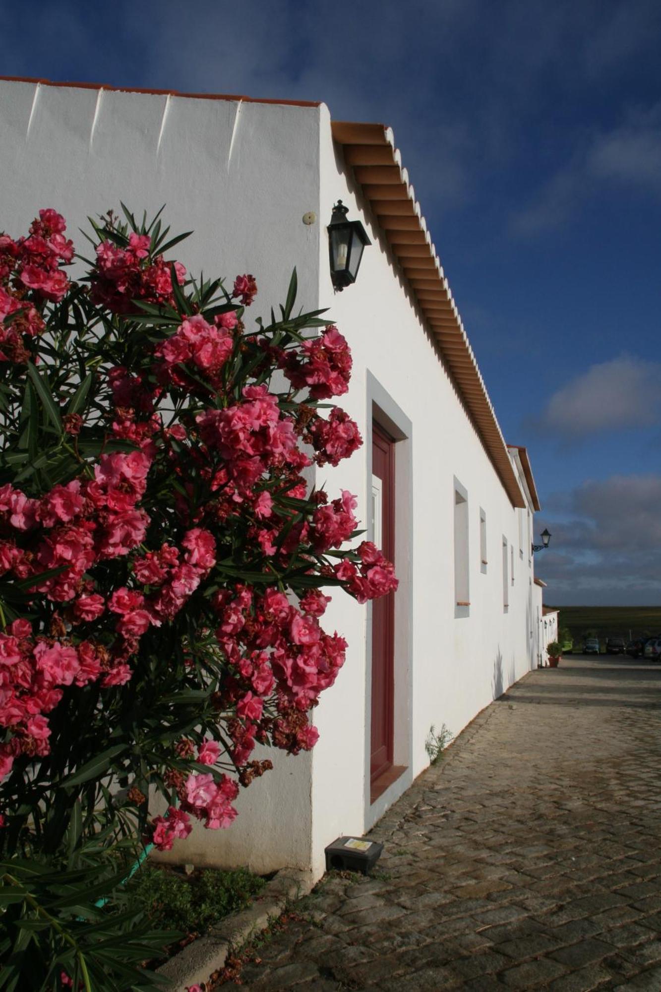 Monte Da Morena Agro-Turismo Serpa Bagian luar foto