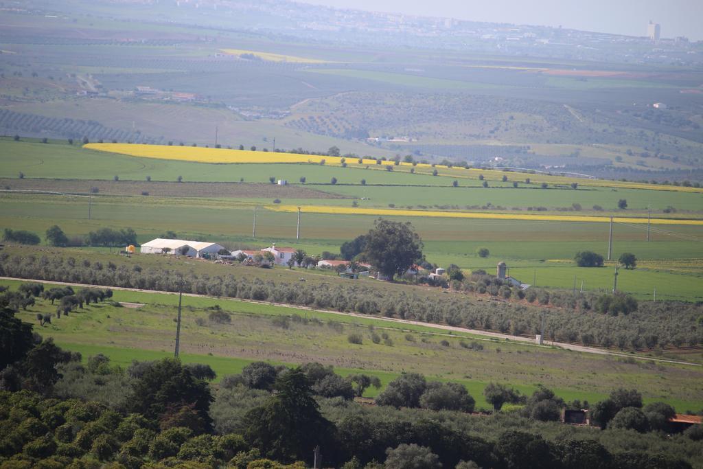 Monte Da Morena Agro-Turismo Serpa Bagian luar foto