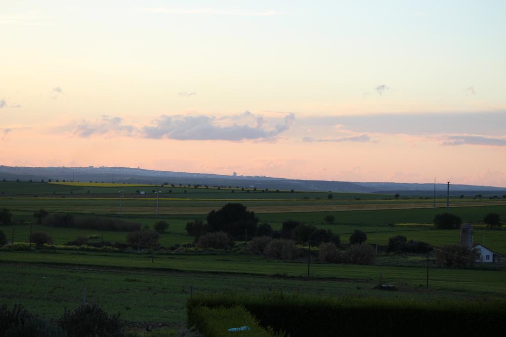 Monte Da Morena Agro-Turismo Serpa Bagian luar foto